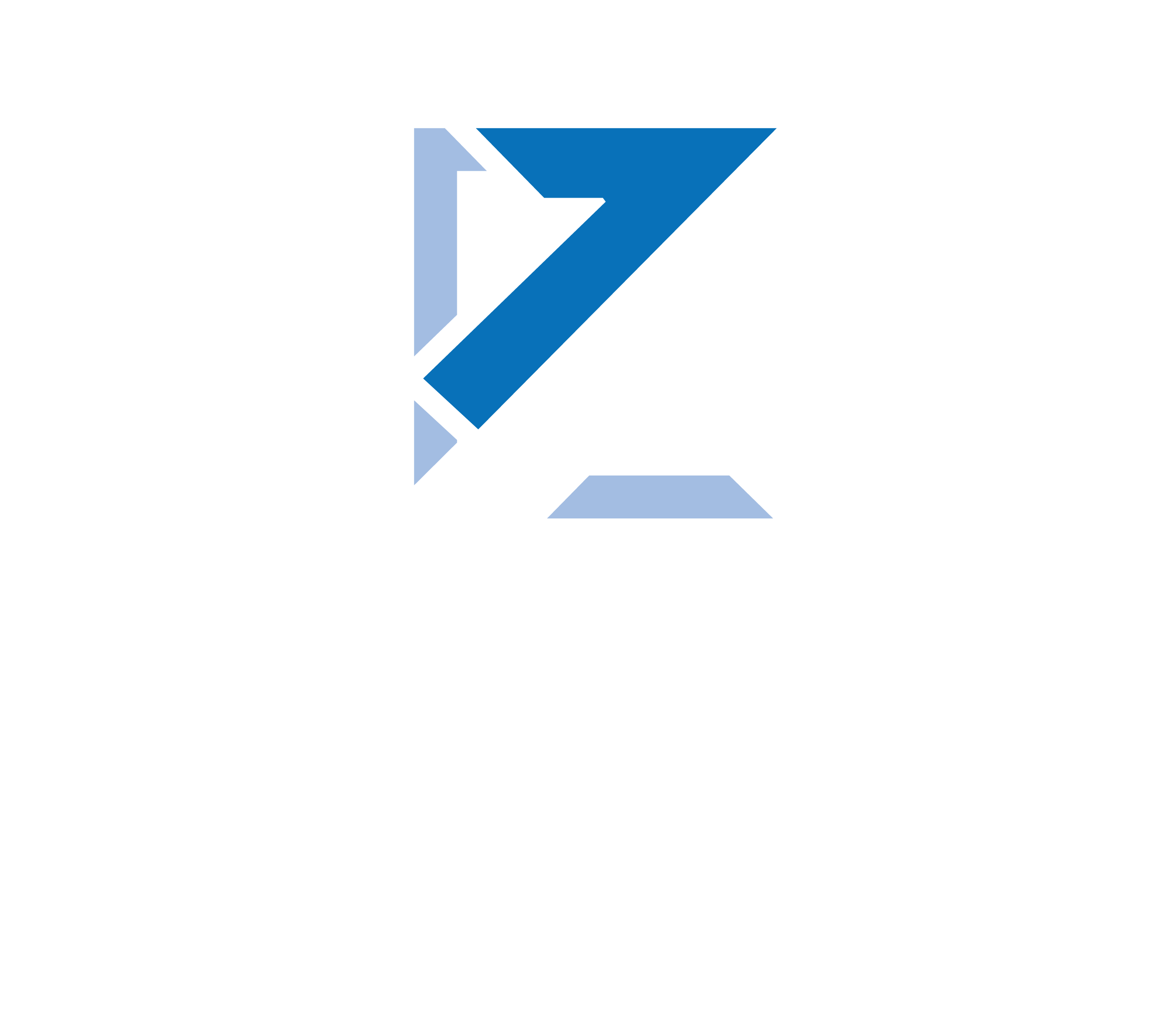 Protomentum Logo